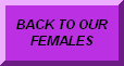 CLICK TO GO BACK TO OUR FEMALES
